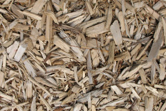 biomass boilers Bagshot